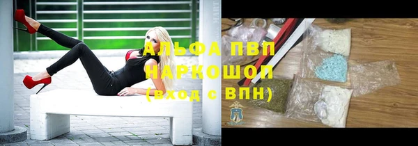 молекула духа Алексеевка