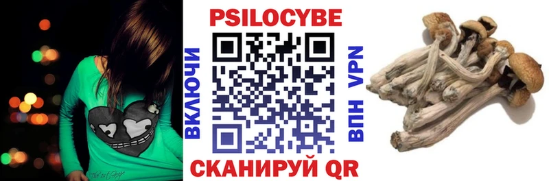 Псилоцибиновые грибы мицелий omg Чистополь
