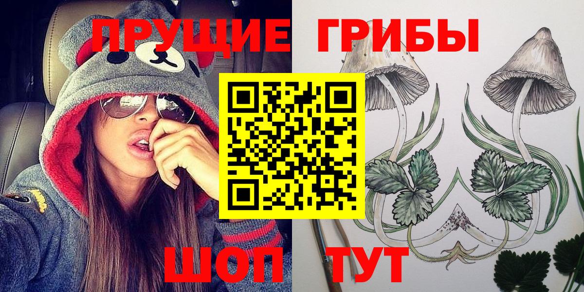 Галлюциногенные грибы Psilocybe  Вход с VPN  Чистополь  Псилоцибиновые грибы GOLDEN TEACHER 